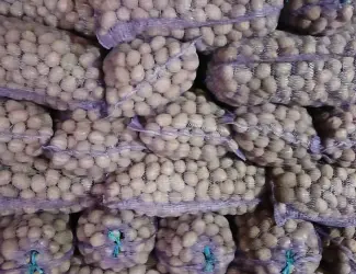 Зображення для оголошення Продам посадкову картоплю