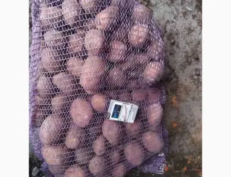 Зображення для оголошення Продам товарну картоплю