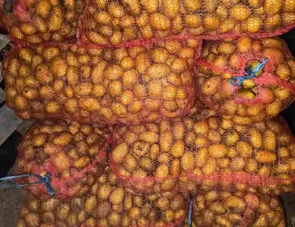 Зображення для оголошення Продам посадкову картоплю