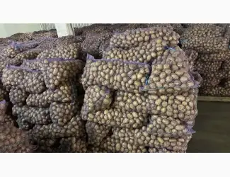 Зображення для оголошення Продам семенной картофель отличного качества сорт Ривьера