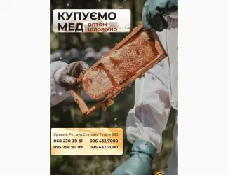 Зображення для оголошення Оптова закупівля меду
