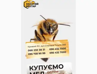 Зображення для оголошення Закуповуємо натуральний мед 2025 року
