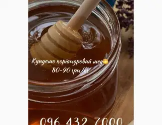 Зображення для оголошення Купуємо Коріандровий мед 80-90 грн/кг