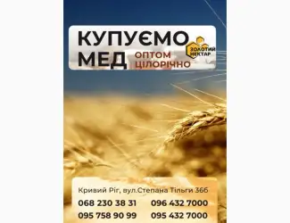 Зображення для оголошення Купуємо мед Різнотрав'я-2025