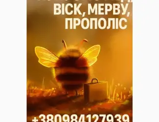 Зображення для оголошення Купуємо мед