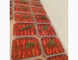 Зображення для оголошення Продам Рак!оптом