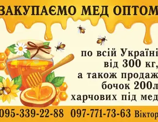 Зображення для оголошення Закупляємо мед оптом по Львівській області