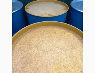 Зображення для оголошення Продам мед