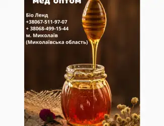 Зображення для оголошення Закупаєм мед оптом