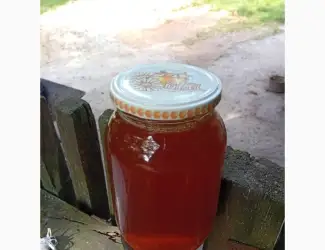 Зображення для оголошення Продам мед