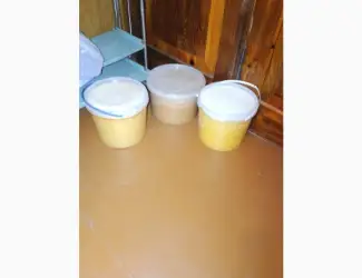 Зображення для оголошення Продам мед