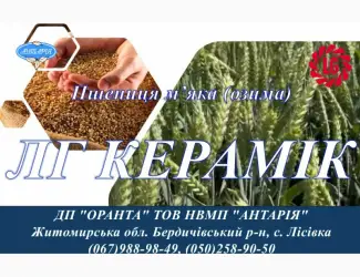 Зображення для оголошення Насіння озимої пшениці ЛГ КЕРАМІК (СН