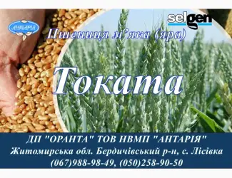 Зображення для оголошення Насіння ярої пшениці Токата (СН