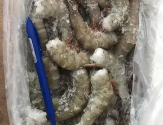 Зображення для оголошення Тигрова Креветка морожена