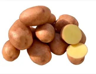 Зображення для оголошення Насіннєва картопля Мирослава (1 репродукція)