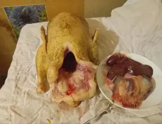 Зображення для оголошення Продам мясо утки