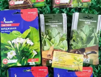 Зображення для оголошення Семена табака курительного Вирджиния Дюбек