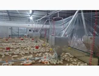 Зображення для оголошення Оборудование для выращивания бройлерной курицы