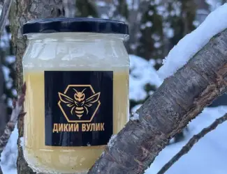 Зображення для оголошення Мед соняшниковий домашній