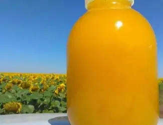 Зображення для оголошення Мед соняшниковий
