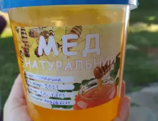 Зображення для оголошення Соняшниковий мед