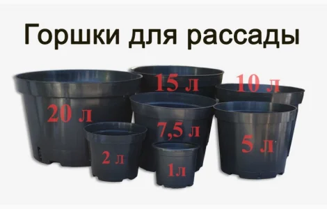 Горшки для рассады и саженцев Оптом. Польша