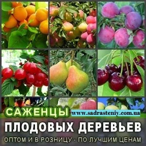 Питомник реализует саженцы на ВЕСНУ 2026 оптом и в розницу на сайте "Сад растений"