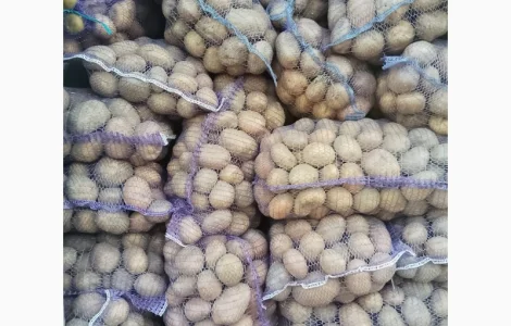 Продам картофель с песка от населения крупный и семенной