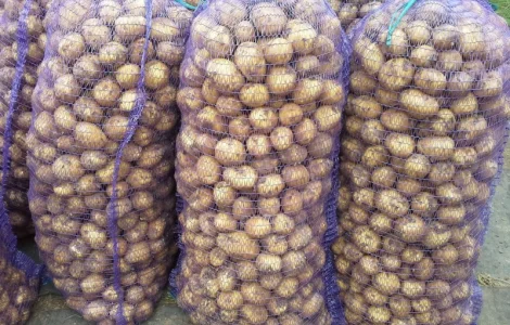 Продам картоплю свіжу продовольчу Казахстан