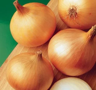 Продам семена Лук Халцедон
