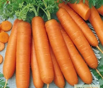 Продам семена моркови Берликум