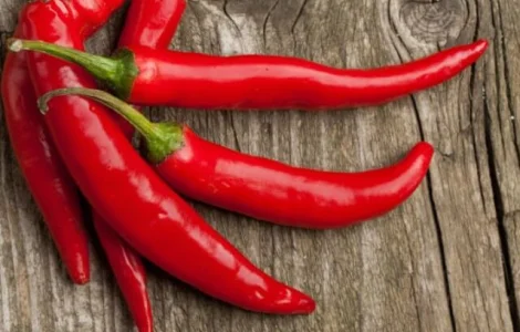 Продам семена острого перца Козий рог