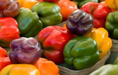 Продам насіння солодкого перцю Суміш для фарширування
