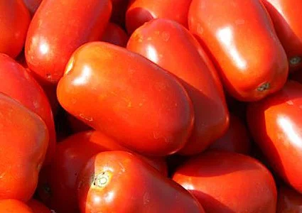 Продам семена Томат Классик F1 (Nunhems)