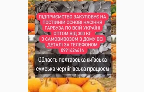Насіння габруза куплю