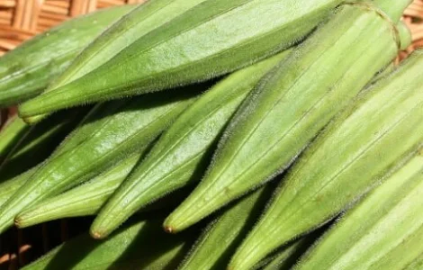 Продам семена Бамия Луизиана