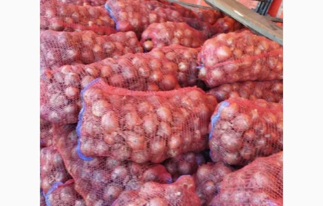 Продам Лук Оптом, Сорт Легенд
