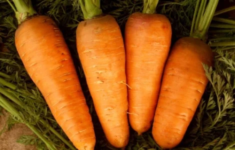 Продам моркву відмінної якості оптом