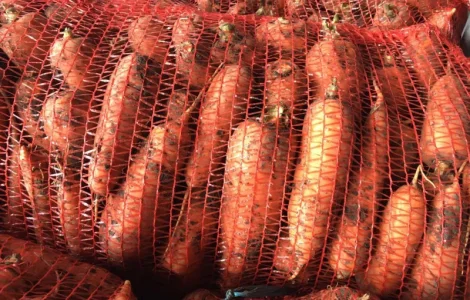 Продажа моркови товарной оптом