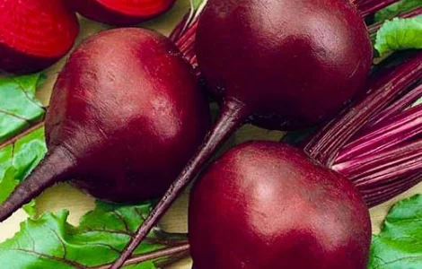 Куплю Буряк красный оптом