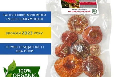Мухомор Красний Сушений для лікування