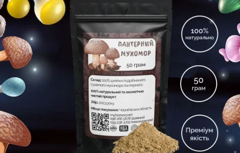 Мухомор Пантерний мелені шляпки