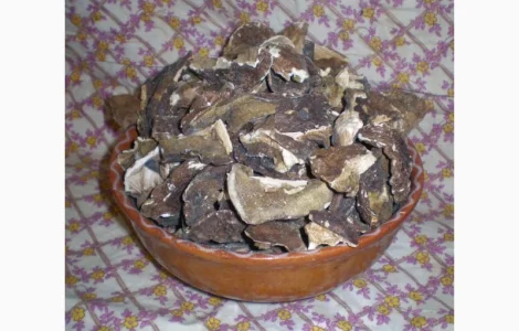 Польские сушеные грибы из Карпат