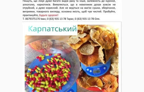 Мухомор сушений в продаже
