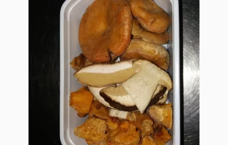 Микс мороженых грибов