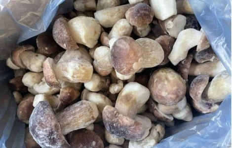 Закупка замороженных белых грибов