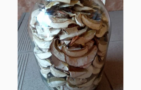 Продажа белых грибов