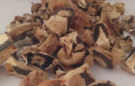 Веселка обыкновенная (гриб сушеный 25г)