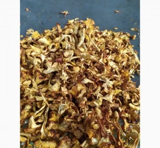 Сушеные лисички грибы на продажу