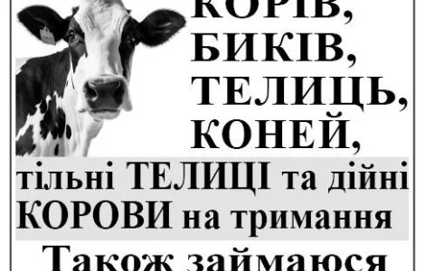 Закупка врх и продажа
